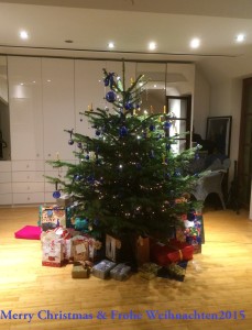Weihnachten2015-Baum
